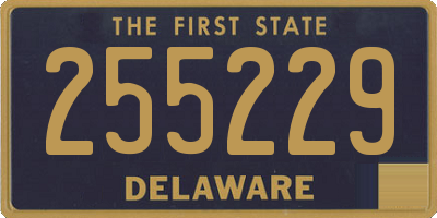 DE license plate 255229