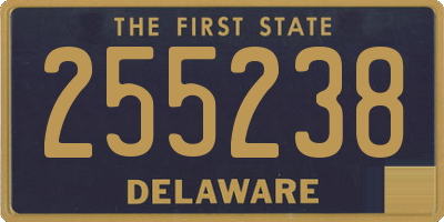 DE license plate 255238