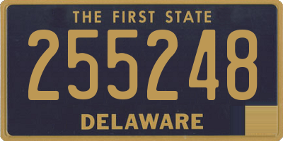 DE license plate 255248