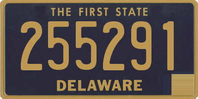 DE license plate 255291