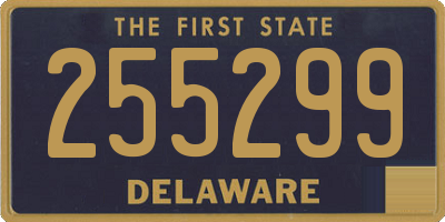 DE license plate 255299
