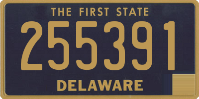 DE license plate 255391