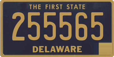 DE license plate 255565