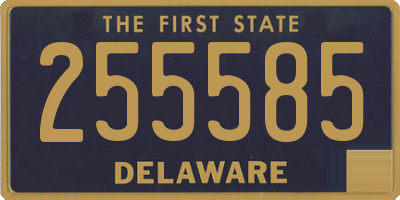DE license plate 255585