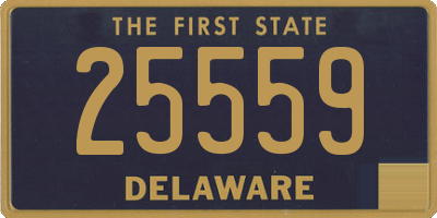 DE license plate 25559