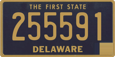 DE license plate 255591