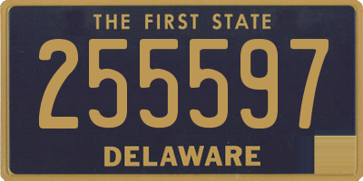 DE license plate 255597