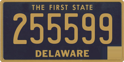 DE license plate 255599