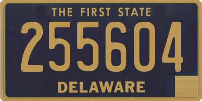 DE license plate 255604