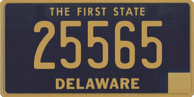 DE license plate 25565