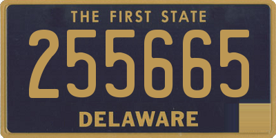 DE license plate 255665