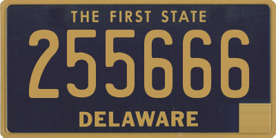DE license plate 255666