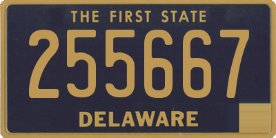 DE license plate 255667