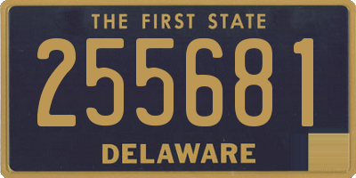 DE license plate 255681
