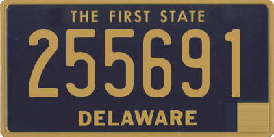 DE license plate 255691