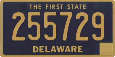 DE license plate 255729