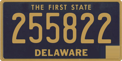DE license plate 255822
