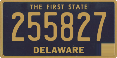 DE license plate 255827