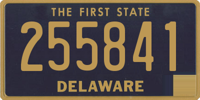 DE license plate 255841
