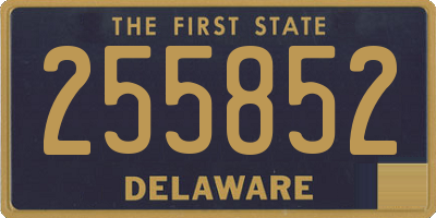 DE license plate 255852