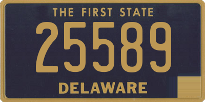 DE license plate 25589