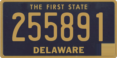 DE license plate 255891