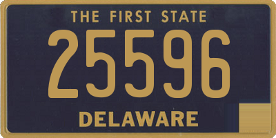 DE license plate 25596