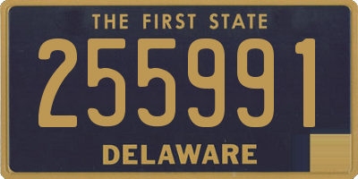 DE license plate 255991