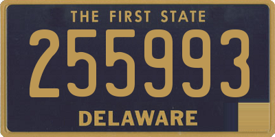 DE license plate 255993