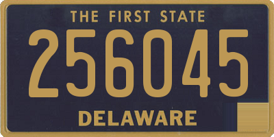 DE license plate 256045