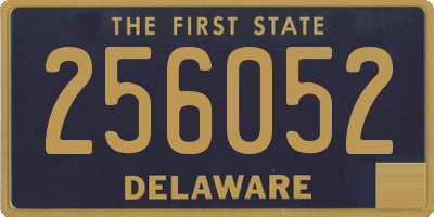 DE license plate 256052