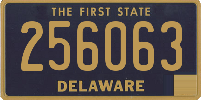 DE license plate 256063