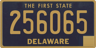 DE license plate 256065