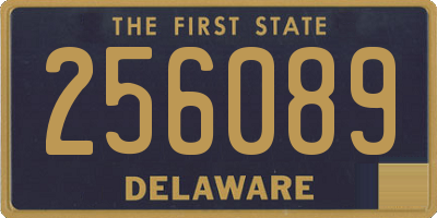 DE license plate 256089