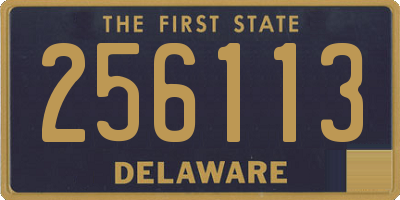 DE license plate 256113