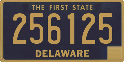 DE license plate 256125