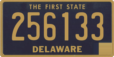 DE license plate 256133