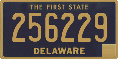 DE license plate 256229