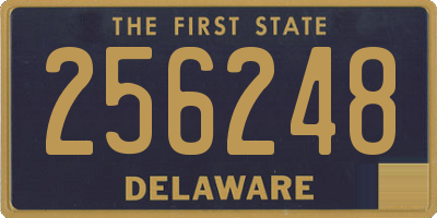 DE license plate 256248
