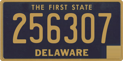DE license plate 256307