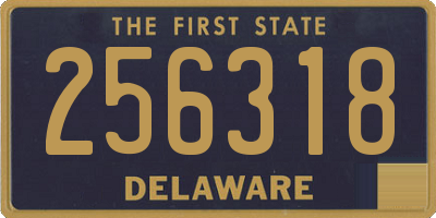 DE license plate 256318