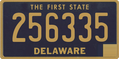 DE license plate 256335