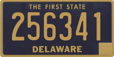 DE license plate 256341
