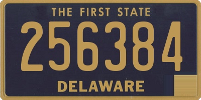 DE license plate 256384