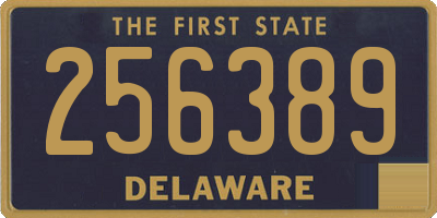 DE license plate 256389