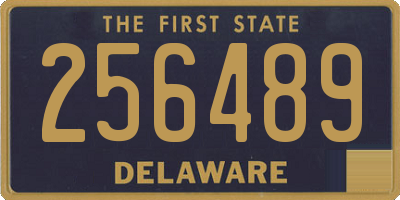 DE license plate 256489