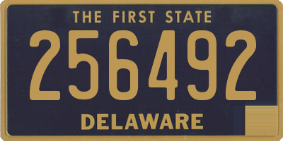DE license plate 256492