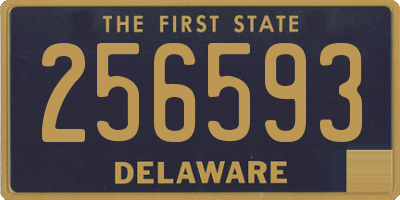 DE license plate 256593