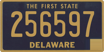 DE license plate 256597
