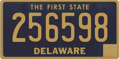 DE license plate 256598